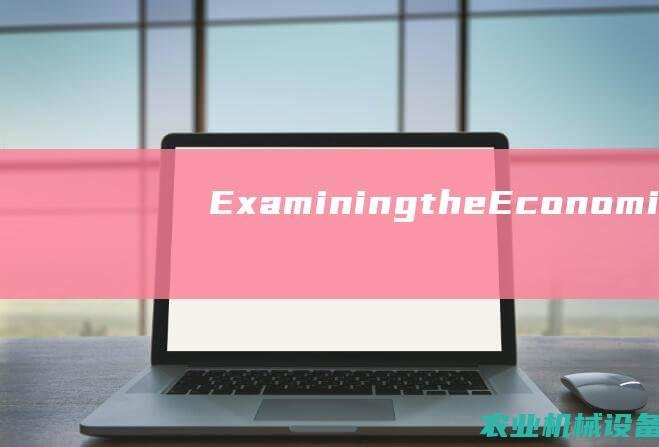 ExaminingtheEconomicIn