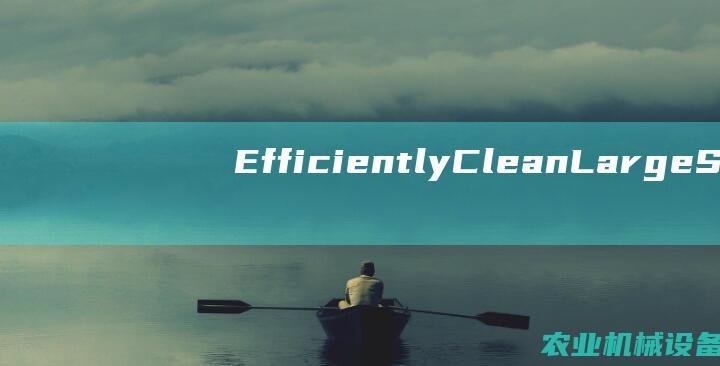 EfficientlyCleanLargeS